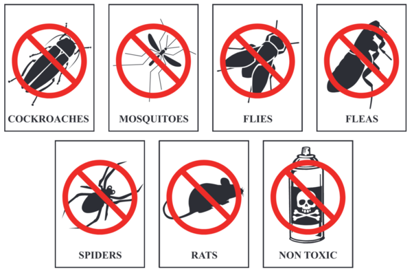 How to get rid of pests